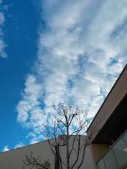 画像(180x240)・拡大画像(480x640)