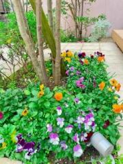 画像(180x240)・拡大画像(480x640)