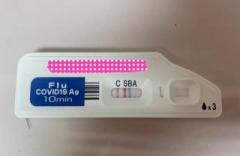 �摜(240x156)�E�g��摜(640x419)