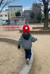 画像(161x240)・拡大画像(431x640)