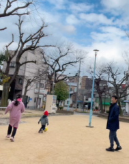 画像(189x240)・拡大画像(507x640)