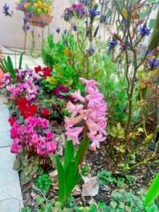 �摜(180x240)�E�g��摜(480x640)