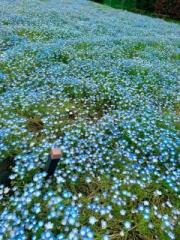 画像(180x240)・拡大画像(480x640)