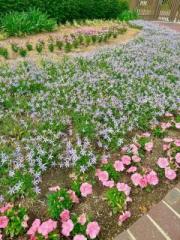 画像(180x240)・拡大画像(480x640)