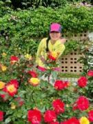 画像(135x180)・拡大画像(480x640)