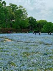 画像(180x240)・拡大画像(480x640)