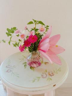 �摜(240x320)�E�g��摜(480x640)