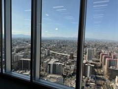 画像(240x180)・拡大画像(640x480)