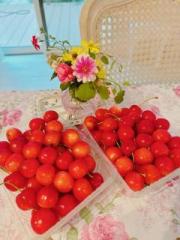 �摜(180x240)�E�g��摜(480x640)