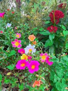 画像(240x320)・拡大画像(480x640)