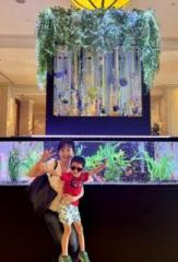 �摜(163x240)�E�g��摜(437x640)