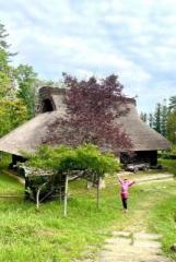 画像(161x240)・拡大画像(431x640)