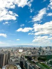 画像(180x240)・拡大画像(480x640)