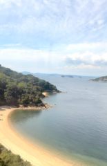 画像(155x240)・拡大画像(414x640)