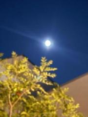 �摜(180x240)�E�g��摜(480x640)