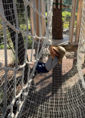 �摜(173x240)�E�g��摜(462x640)