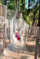 �摜(165x240)�E�g��摜(443x640)