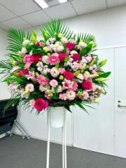 �摜(180x240)�E�g��摜(480x640)