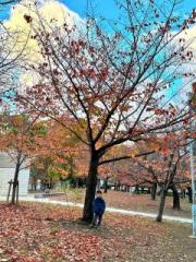 �摜(180x240)�E�g��摜(480x640)