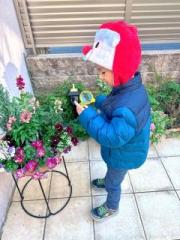 �摜(180x240)�E�g��摜(480x640)