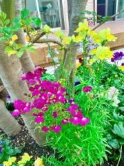 �摜(180x240)�E�g��摜(480x640)