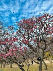 �摜(180x240)�E�g��摜(480x640)