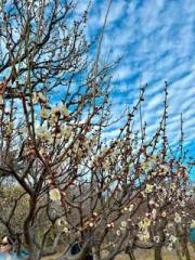 �摜(180x240)�E�g��摜(480x640)