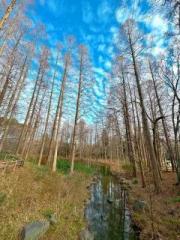 �摜(180x240)�E�g��摜(480x640)