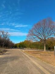 �摜(180x240)�E�g��摜(480x640)