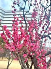 �摜(180x240)�E�g��摜(480x640)