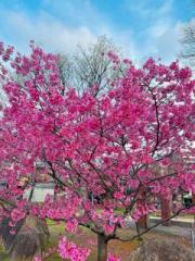 �摜(180x240)�E�g��摜(480x640)