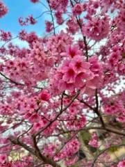 �摜(180x240)�E�g��摜(480x640)