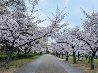 �摜(320x240)�E�g��摜(640x480)