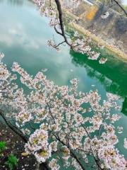 �摜(180x240)�E�g��摜(480x640)