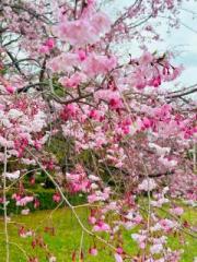 �摜(180x240)�E�g��摜(480x640)