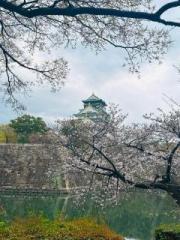 �摜(180x240)�E�g��摜(480x640)