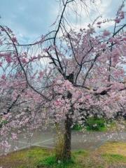 �摜(180x240)�E�g��摜(480x640)