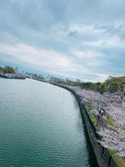 �摜(180x240)�E�g��摜(480x640)