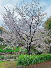 �摜(180x240)�E�g��摜(480x640)