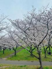 �摜(180x240)�E�g��摜(480x640)