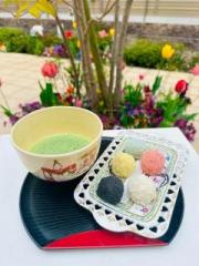 �摜(180x240)�E�g��摜(480x640)