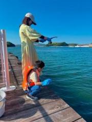 画像(180x240)・拡大画像(480x640)