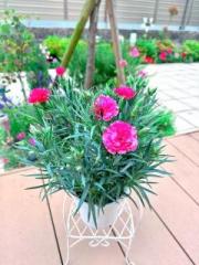 画像(180x240)・拡大画像(480x640)