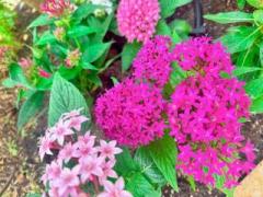 �摜(240x180)�E�g��摜(640x480)