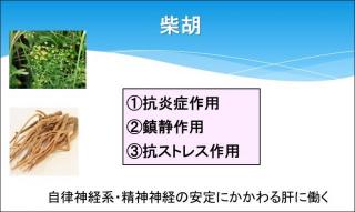 �摜(320x191)�E�g��摜(640x382)