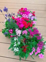 �摜(180x240)�E�g��摜(480x640)