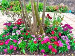 �摜(240x180)�E�g��摜(640x480)