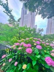 �摜(180x240)�E�g��摜(480x640)