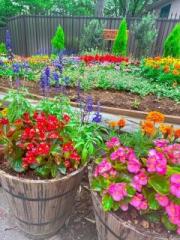 �摜(180x240)�E�g��摜(480x640)