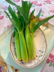 �摜(180x240)�E�g��摜(480x640)